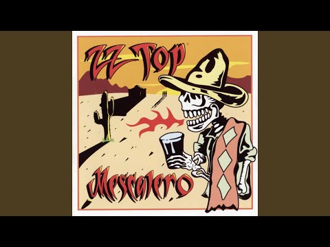 Me So Stupid - ZZ Top