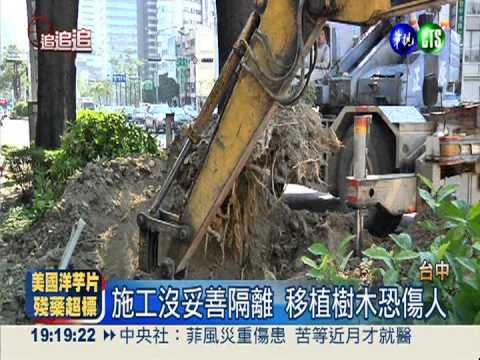 粗暴移植行道樹 不顧用路人安全