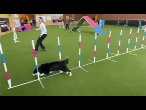 Bing kupa 2022.04.16.