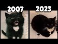 Evolution Of Maxwell The Cat