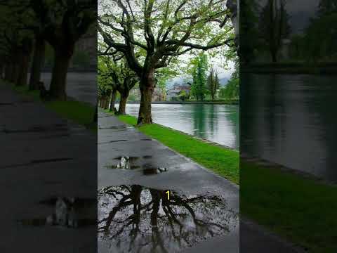 Qual desses caminhos tem mais a sua vibe ? #shorts