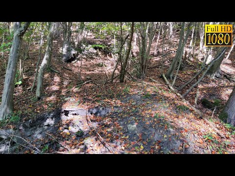 Altbergbau: Reste Stollenmundloch Taubitz NNE - Ötschaugraben / NÖ