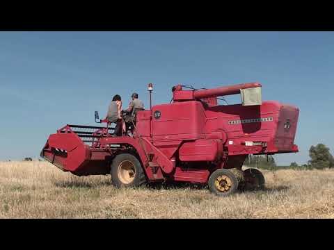 Landb. Warnitz - Celles - Massey Ferguson 510