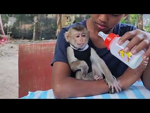 Today she drink milk with boy | Mr Polo#157