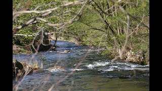 Camping Ushuaïa Villages Le Viaduc - Camping Ardèche - Image N°2