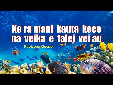 Ke ra mani kauta kece - Pacisepa Gospel