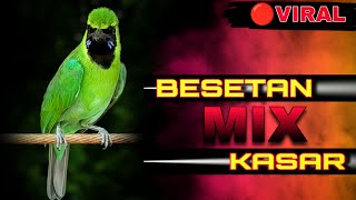 Download lagu 🔴BESETAN MIX KASAR‼️CUCAK IJO GACOR NGENTROK FULL TEMBAKAN TAJAM mp3