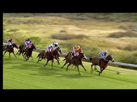 2018.12.08 Cape Summer Stayers Handicap (RSA) - Gimme One Night