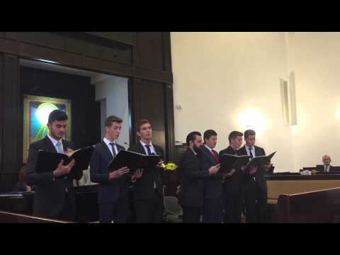 Cor Barbatesc (AZS Nazna)- Sunt sarac!