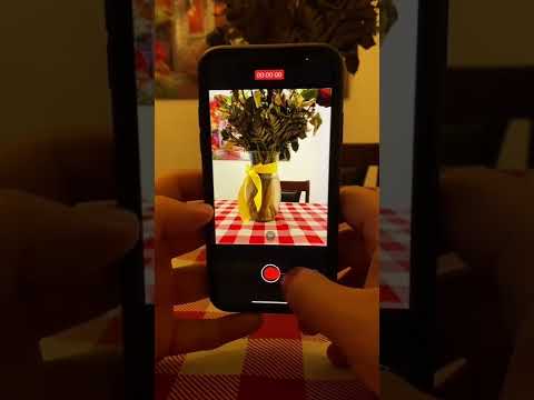 Secretos de la cámara