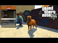 Animal Ark Shelter 1.3 for GTA 5 video 2