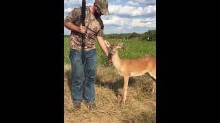 Friendly Deer Hangs Out During Dove Hunt