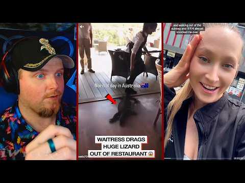 just a normal day in Australia ...🦎🎉⚠️