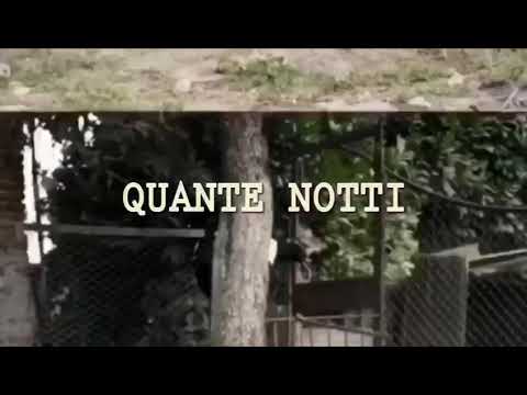 Kyre - quante notti (by downstreet)