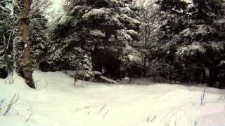 preview picture of video 'Posse skiing Bear Claw - Sugarbush February 24, 2013'