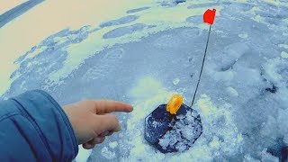 Ловля щуки на балансир первый лед