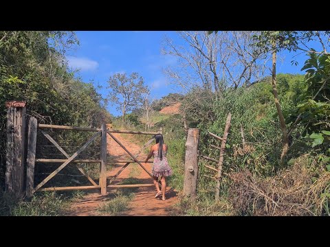 Estrada rural sentido Grama de Joanésia