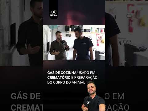 Vídeo