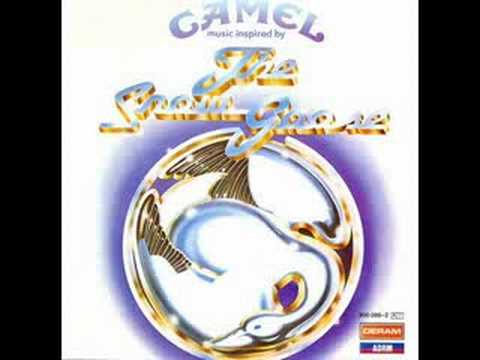 Camel - Rhayader