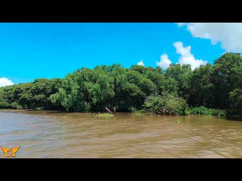 [19] Koringa Wildlife Sanctuary || Kakinada