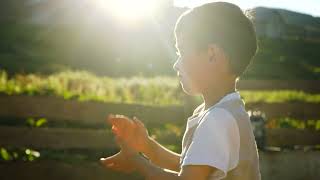 Georgia - From The Peaks to the Black Sea Coast