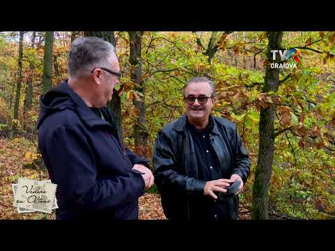 Vedere cu olteni - Morunglav