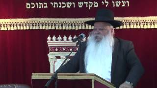 כל אשר יעשה יצליח | הרב דניאל זר