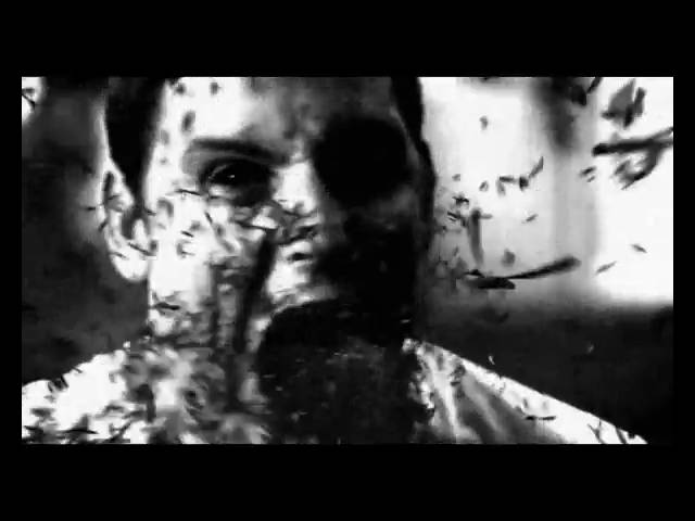 Vídeo relacionado con Parkway Drive - Mercancía oficial - Metal Crest Camiseta