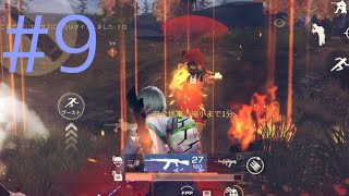 #9 火山アンチプチ高額