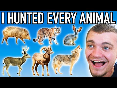 I Hunted Every Animal in Mexico! - Hunter Call of the Wild