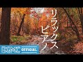Soothing Autumn Forest Chill Piano Music - Warm Sunny Autumn Background Music to Unwind, Relax