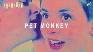 Pet Monkey by Heavenly – Music from The state51 Conspiracy
