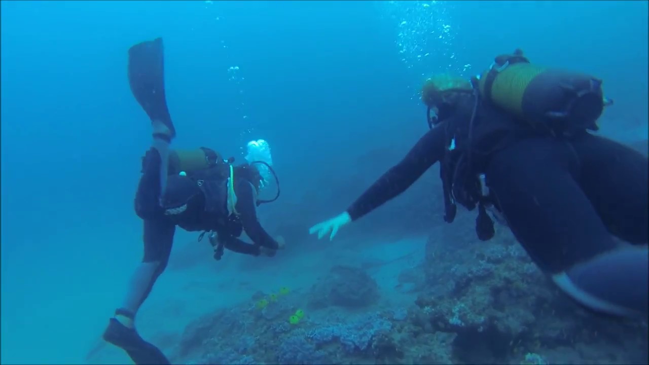 A dive experience at White Pearl Resorts, Mozambique