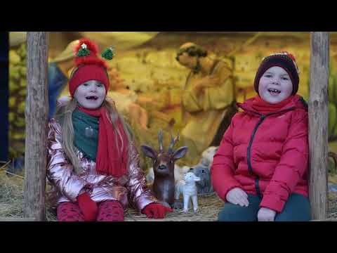 Skrzypi wóz - Fabryka Talentów