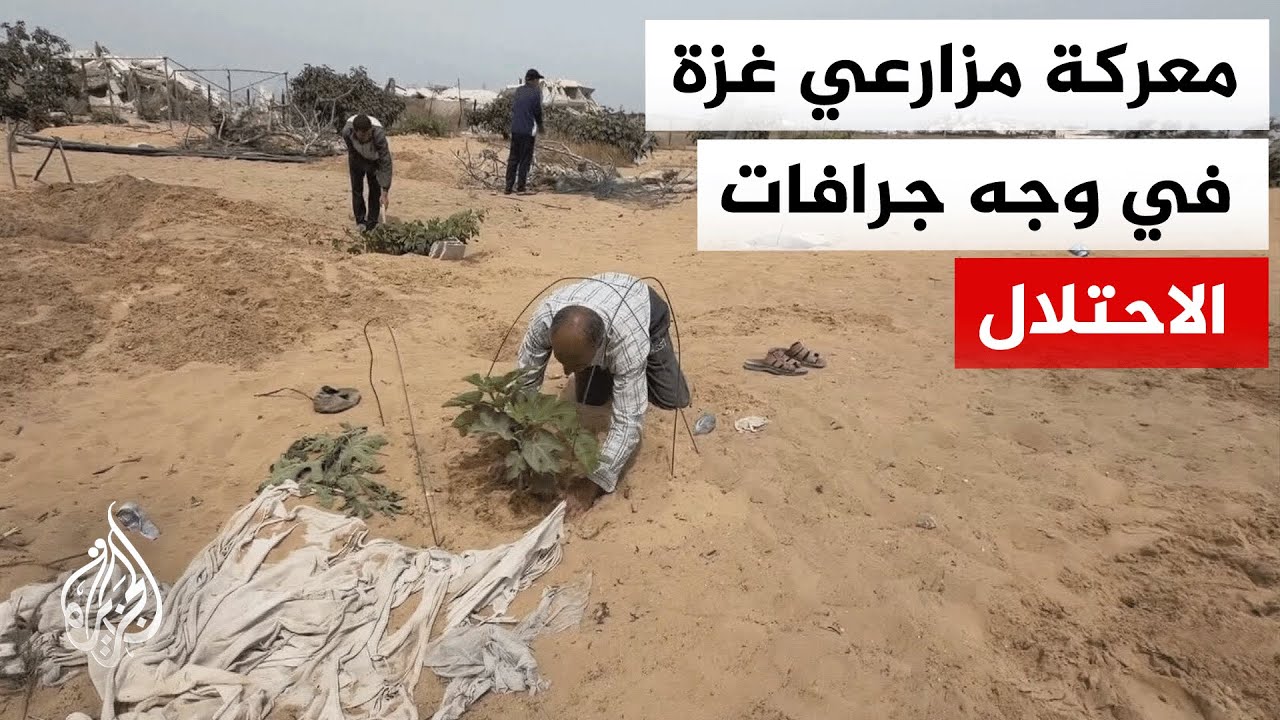 جرافات الاحتلال تجرف أراضي العنب وتحولها لمساحات قاحلة في قطاع غزة