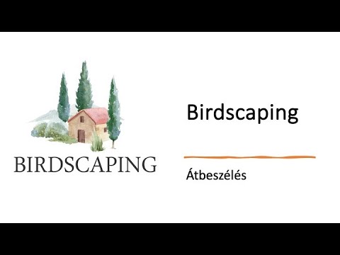 Birdscaping - Átbeszélés - Robert SoloPlay
