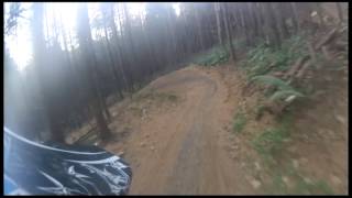 dh1 rostrevor, left with a limp.