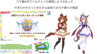 #ウマ娘 4月マイルチャンミ　サポカそろってきたからガチ目な育成するつもり...
