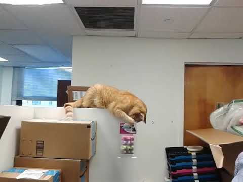 Jefferson Inspects Donations