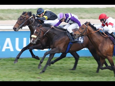 Köln: SolarWorld Grand Prix-Aufgalopp (Listenrennen) - Sieger: Vif Monsieur