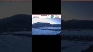Leadville Daily Report 3/14/2026