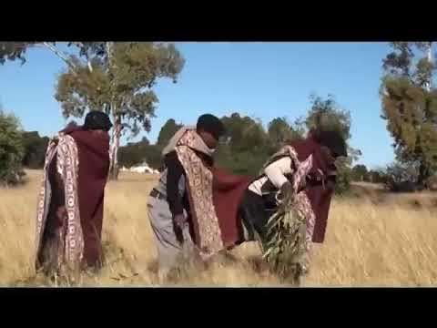 Peipi -  Litlatse (Volume 1)