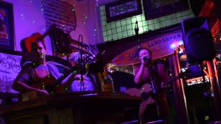 Spayed Koolie at Moon Cricket Cafe