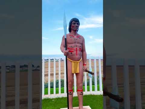 SURPRESA COM A CIDADE DE FÊNIX