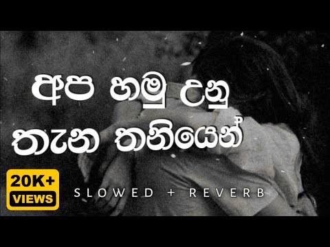 අප හමු උන තැන තනියෙන් | Apa Hamu Unu Thana (Apa Hamu Una Thana) Slowed Reverb #relax_sr_studio