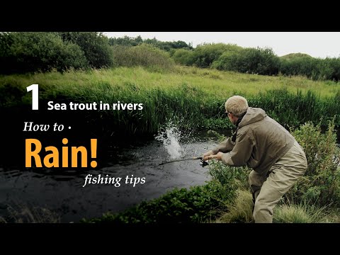 How to • Rain! • Sea trout in Rivers • fishing tips