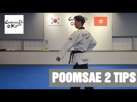 Taekwondo Poomsae 2 (2024) Tips