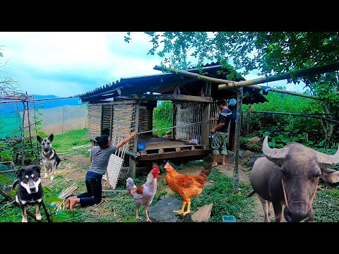 Full video 200 days building a new life | build bamboo houses, raise livestock, grow crops