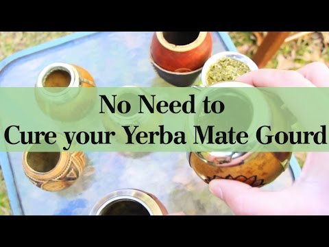 STOP! You Don't have to Cure your Yerba Mate Gourd. Learn Why.