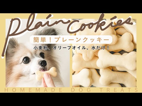 自家製犬用血清の作り方
